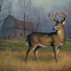 a painting of a deer standing in a field next to a barn and tree line