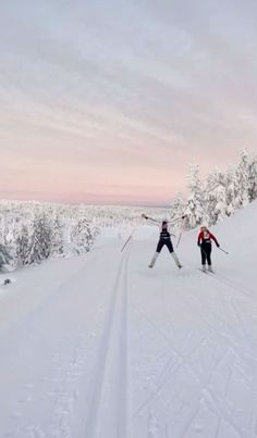 two people cross country skiing on a snowy mountain trail at sunset or dawn with trees in the background