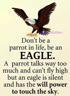 an eagle flying with the words don't be a parrot in life, be an eagle