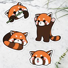 four stickers with red pandas and raccoons on them, one is holding a bamboo sticker