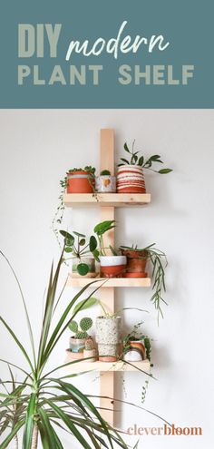 three wooden shelves filled with potted plants on top of each other next to a white wall