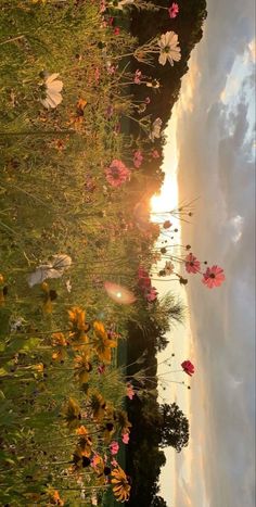 the sun shines brightly through the clouds and flowers