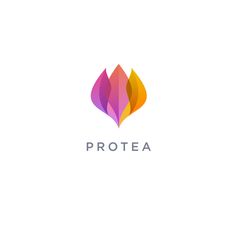 the logo for proteaa, a company that uses colorful shapes to make it unique