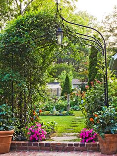 an outdoor garden with potted plants and flowers