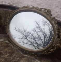 a mirror sitting on top of a stone floor next to a tree filled with leaves