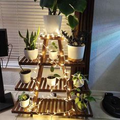 a plant stand with potted plants and lights