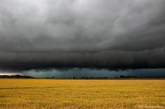 a large open field with storm clouds in the sky and trees on the other side