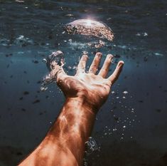 a person's hand reaching for a jellyfish in the water