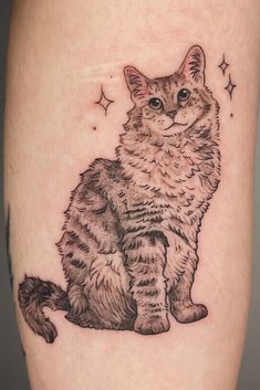 tattoo, tattoos, cat tattoo designs, cat tattoo ideas Siberian Cat Tattoo, Simple Cat Portrait Tattoo, Cat Coffee Tattoo, Cat Tattoo Realism, Cat Forearm Tattoo, Tabby Tattoo, Ragdoll Cat Tattoo, Cat Sitting Tattoo