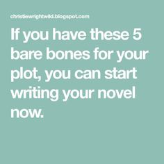 the words if you have these 5 bare bones for your plot, you can start writing your novel now