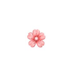 a pink flower on a white background