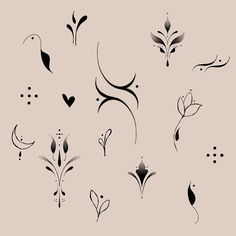 a set of black and white floral designs on a light gray background, with small dots in the middle