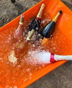 an orange bucket filled with bottles of champagne and ice