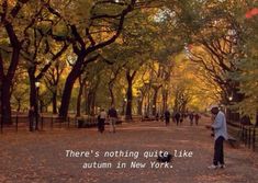 there is nothing quite like autumn in new york, and people are walking through the park