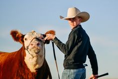 a man in a cowboy hat standing next to a cow