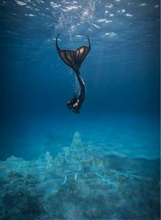 a manta ray swims in the ocean with its tail spread out and it's head above the water