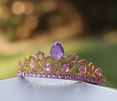 Tangled Crown, Disney Crown, Rapunzel Crown, All Princess, Make A Crown, Rapunzel Costume, Arts And Crafts For Teens