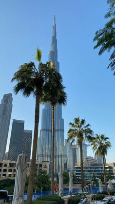 the burj building is surrounded by palm trees and other tall buildings in the background