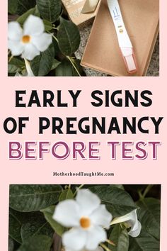 the words, early signs of pregnancy before test are in front of some flowers and an envelope