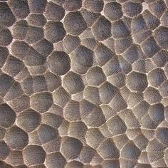 the texture of an animal's skin is shown in this close up photo,