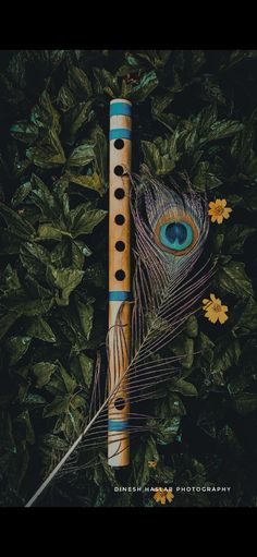 a flute with an eye on it surrounded by leaves and flowers