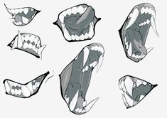 an animal's mouth is shown with different angles and shapes to make it look like its