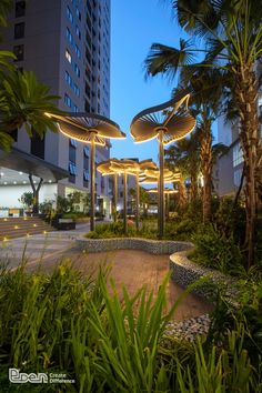 an outdoor area with palm trees and plants in front of a large building at night