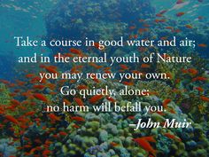 a coral reef with fish swimming in it and a quote from john mur on the bottom