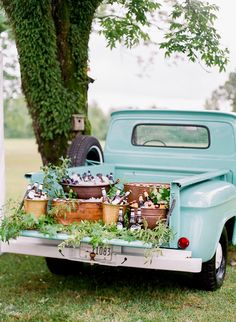 an old pick up truck with plants in the back