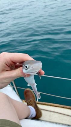 a person is holding a small fish in their hand while sitting on a boat at the water's edge