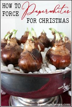 how to make paperweights for christmas with onions in a pot and rocks on the bottom