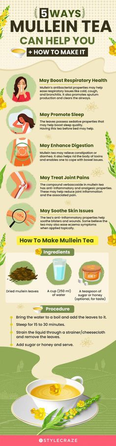 Mullein tea is a herbal tea brewed from mullein flowers. It has traditionally been used as a remedy for cold, cough, diarrhea, constipation, headache, and more. Benefits Of Mullein, Herb Kitchen, Wild Crafting, Mullein Tea, Best Cough Remedy, Natural Path, Diy Medicine, Herbs Garden, Tea Making