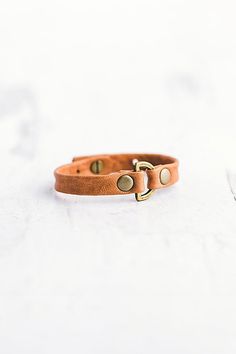 a brown leather dog collar with brass hardwares on a white background, close up