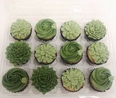 twelve cupcakes with green frosting in a plastic container