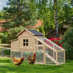 two chickens are walking in the grass near a chicken coop