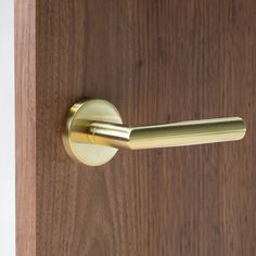 a wooden door with a brass handle on it