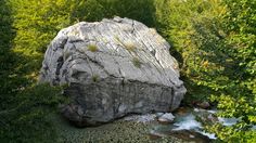 a large rock sitting in the middle of a forest filled with green trees and water