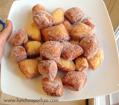 powdered sugar donuts on a white plate being held by someone's hand