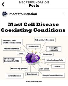 Multiple Chemical Sensitivity, Mast Cell Activation Syndrome, Chronic Fatigue Symptoms, Chiari Malformation, Mast Cell, Restless Leg Syndrome, Vagus Nerve, Ehlers Danlos Syndrome, Autoimmune Disorder