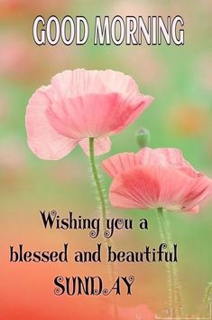 two pink flowers with the words good morning written on it and an image of grass in the background