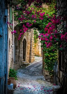 an alley way with pink flowers growing on it