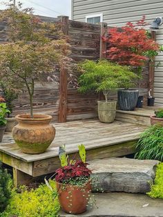 some potted plants are sitting on the steps in front of a house and trees