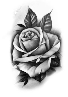 a black and white drawing of a rose