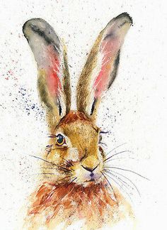 a watercolor painting of a rabbit's head