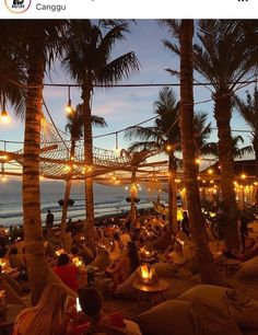 many people are sitting on the beach under palm trees at night with lights strung over them