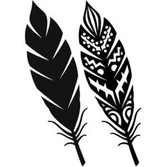 two black and white feathers on a white background