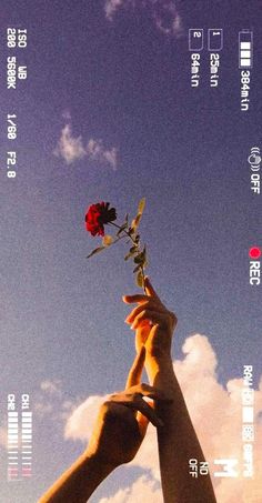 two hands reaching up towards a red rose in the sky with chinese characters on it