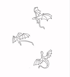 two dragon flying in the sky with their wings spread