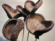 four dried flowers in a vase on a table