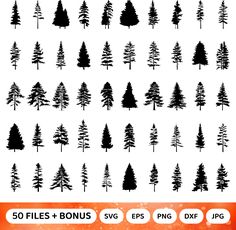 pine tree silhouettes for christmas and other holiday decorations, including the top one in black